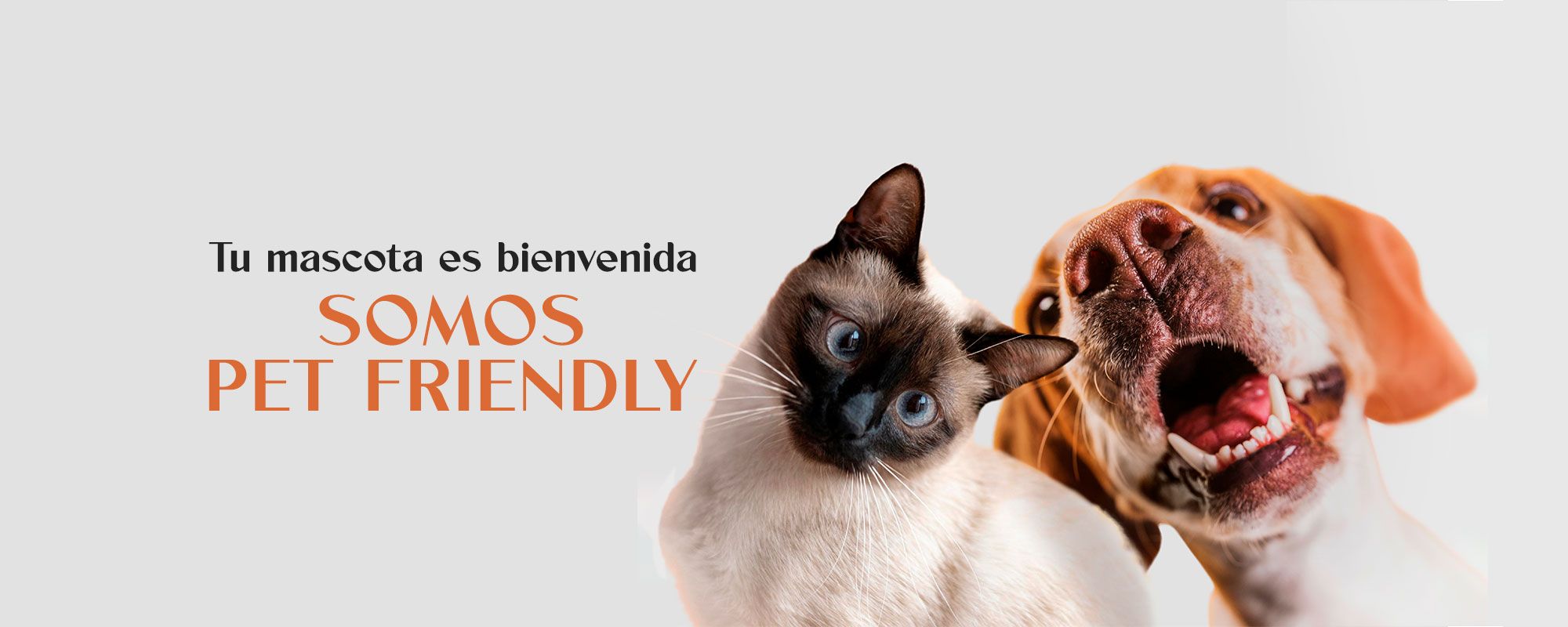 Pet Friendly SBP 2 SLIDE